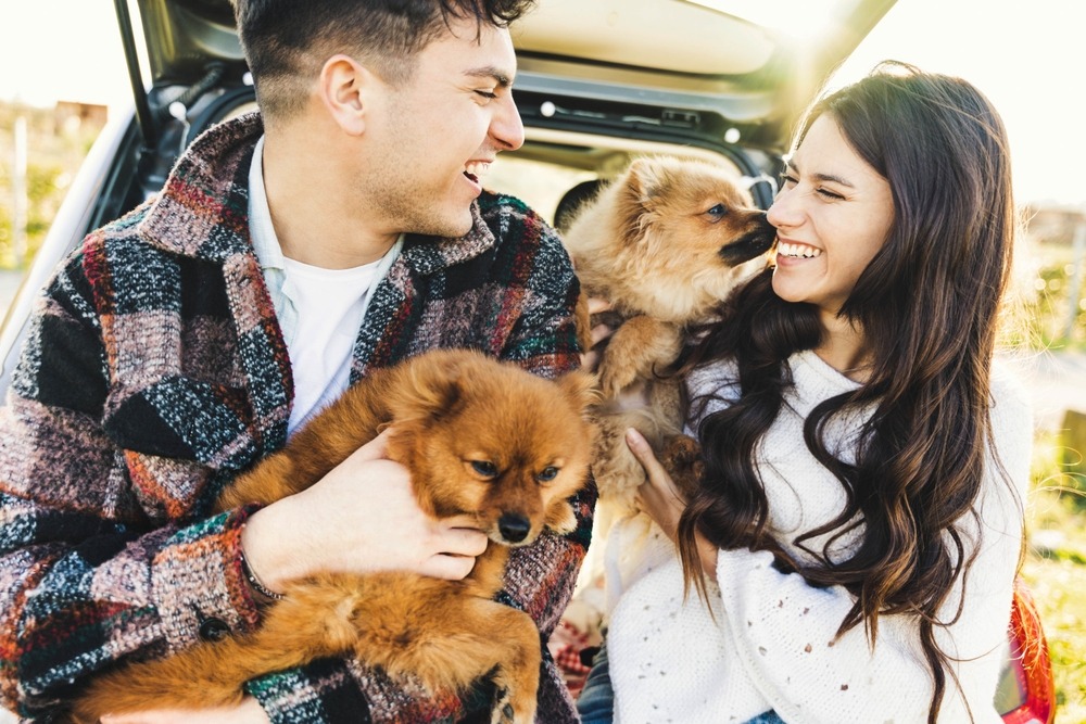 Couple smiling while holding two small dogs outdoors, showing a relaxed moment with their pets near a car