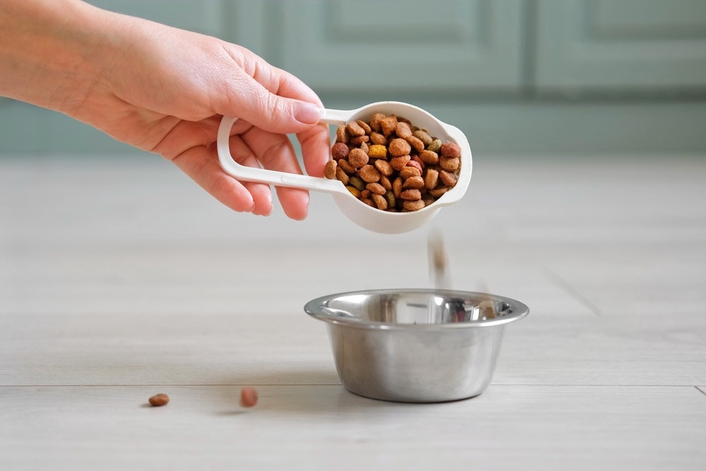 Owner measuring dry dog food with a scoop, ensuring accurate portion sizes for daily nutritional requirements.