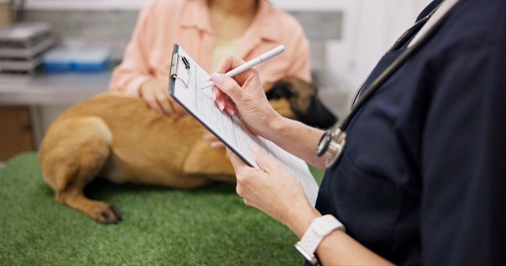 Veterinarian reviewing medical notes beside a rescue dog during a health check, highlighting intake exams and treatment protocols.