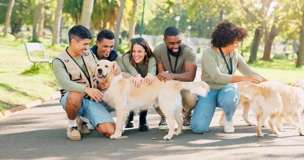Animal welfare volunteers interacting with rescued dogs in a park, supporting socialisation, enrichment and adoption readiness.