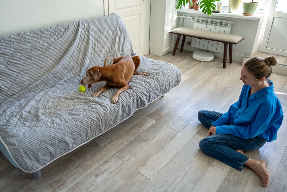 Puppy practicing calm behaviour training on a couch with owner supervision, illustrating early training and boundary setting at home.