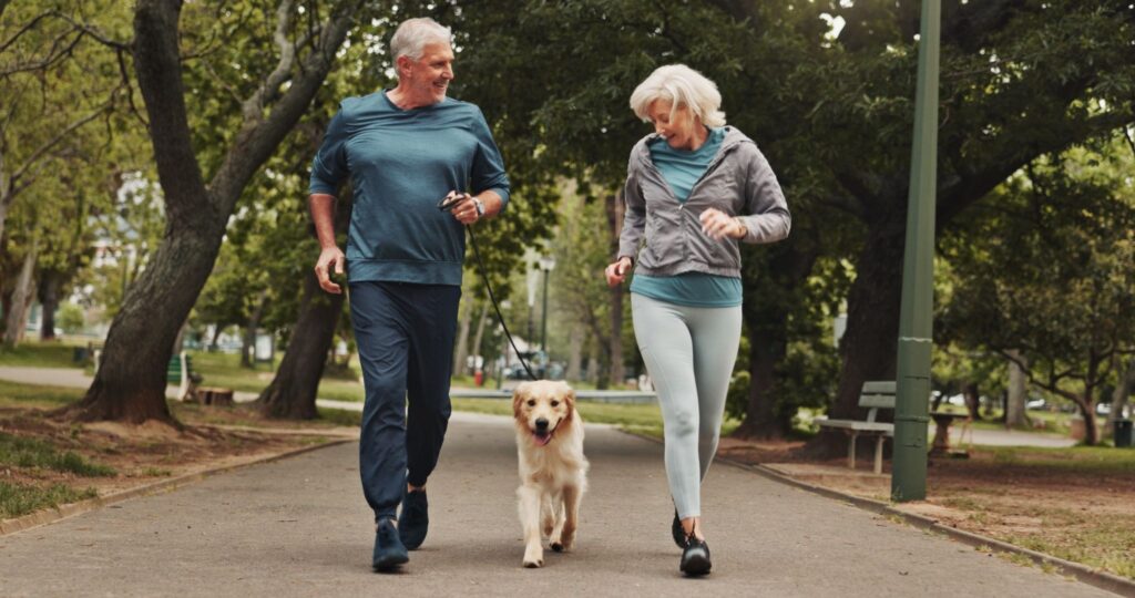 Senior man and woman walking a Golden Retriever together in a park, illustrating exercise, companionship, and health benefits of having a dog for older adults