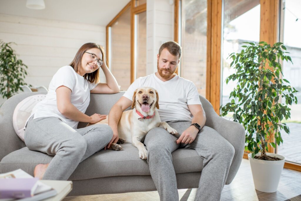 Couple sitting on a couch with a happy Labrador between them, illustrating companionship, emotional support, and the lifestyle benefits of having a dog