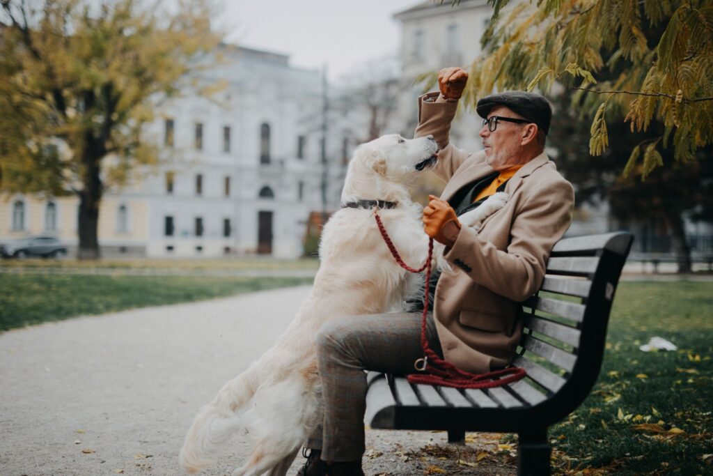 Elderly man sitting on a park bench interacting with a Golden Retriever, illustrating emotional support, companionship, and physical activity benefits for older adults
