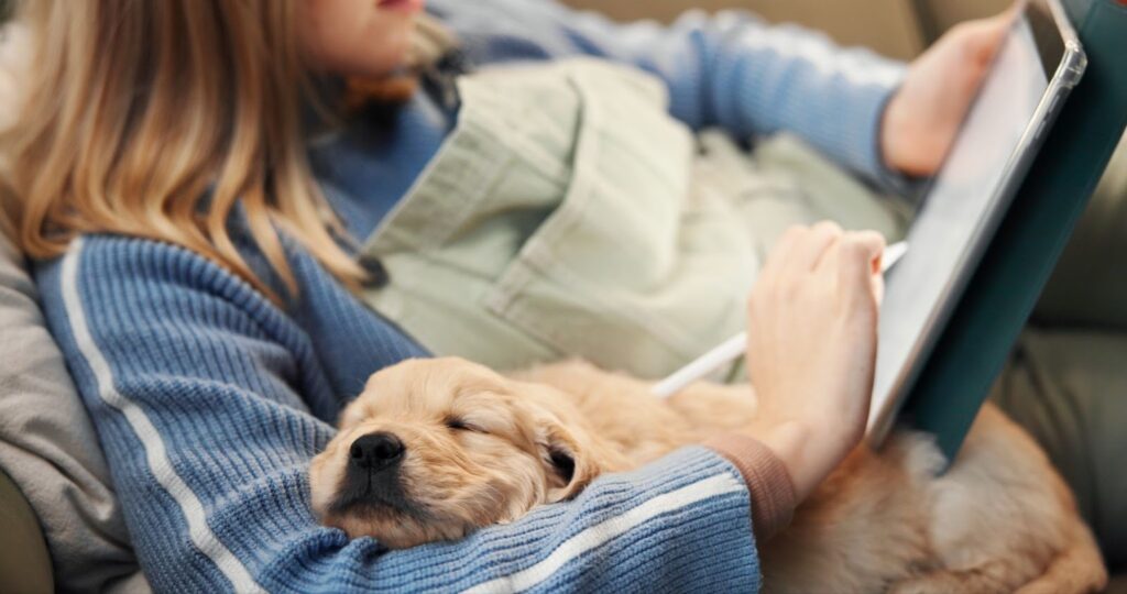 Puppy resting at home while owner reviews veterinary invoices