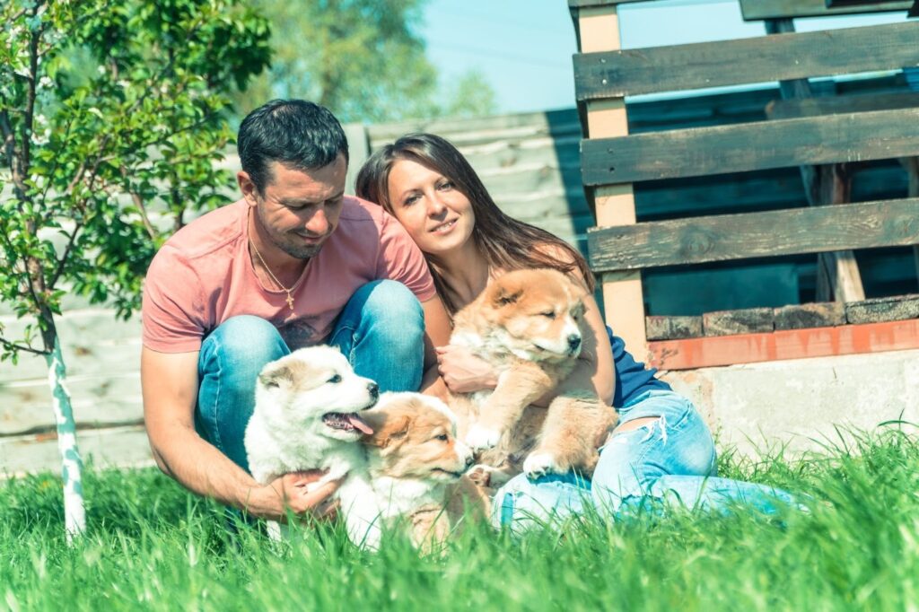 Responsible breeder interacting with healthy puppies in a clean environment