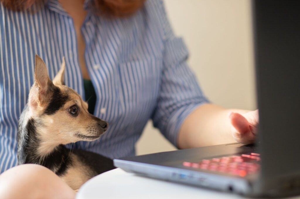 Small black and tan puppy sitting on a person's lap, looking at a laptop screen while the person uses the touchpad, indoor home setting.