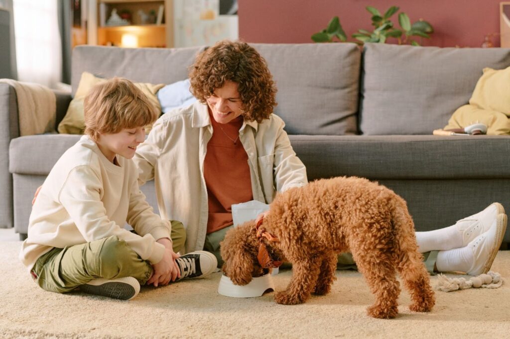 Child and adult sitting on the floor in a living room, watching a small curly-haired brown puppy eat from a bowl, relaxed home setting with grey couch and plants in the background.