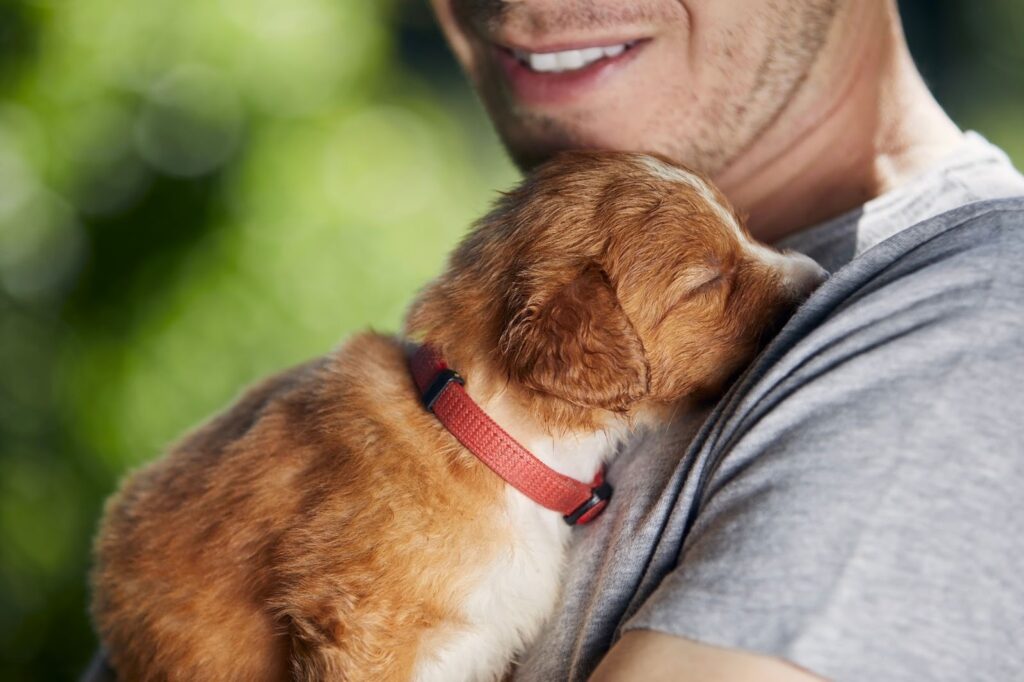 Close-up of a small brown puppy with a red collar resting peacefully against a man’s chest outdoors.