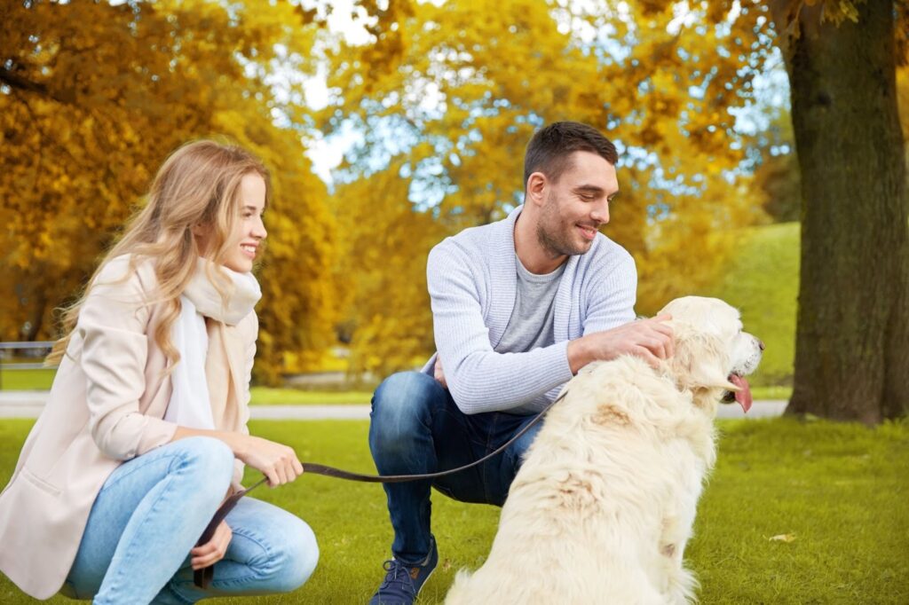 Couple kneeling in a park with golden autumn trees, smiling and petting a large white dog on a lead.