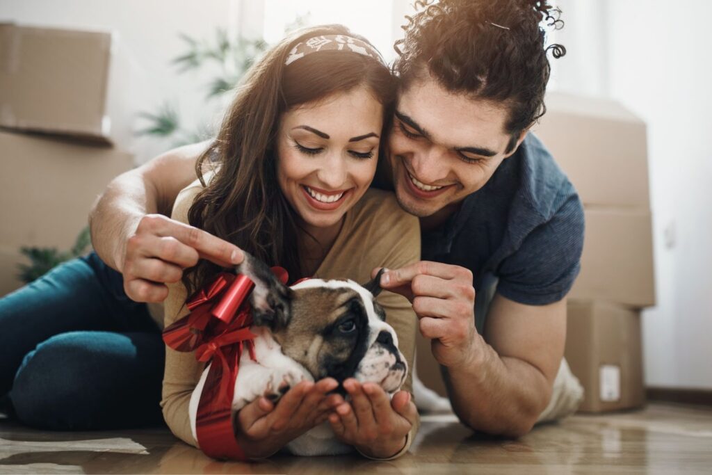 Smiling couple lying on the floor with a bulldog puppy wearing a red ribbon bow, surrounded by moving boxes.
