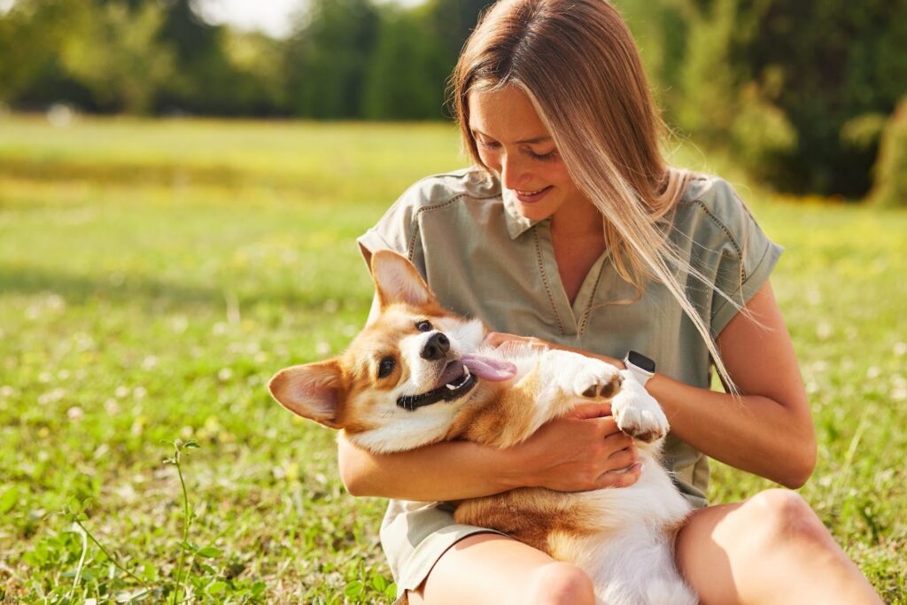 Woman sitting on grass in a park cuddling a happy Corgi lying on its back in her arms.