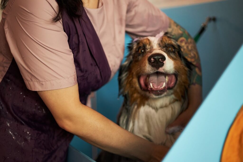 Happy dog being washed in grooming tub by professional groomer with tattooed arm and apron