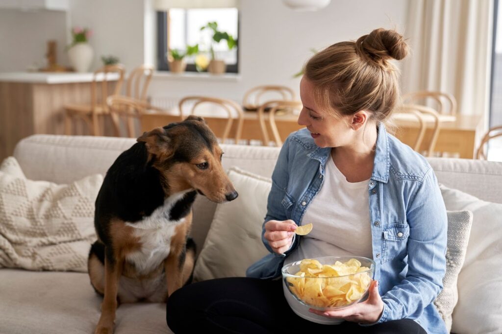 Woman sitting on a sofa holding a bowl of potato crisps while a dog looks at the snacks in a bright living room.