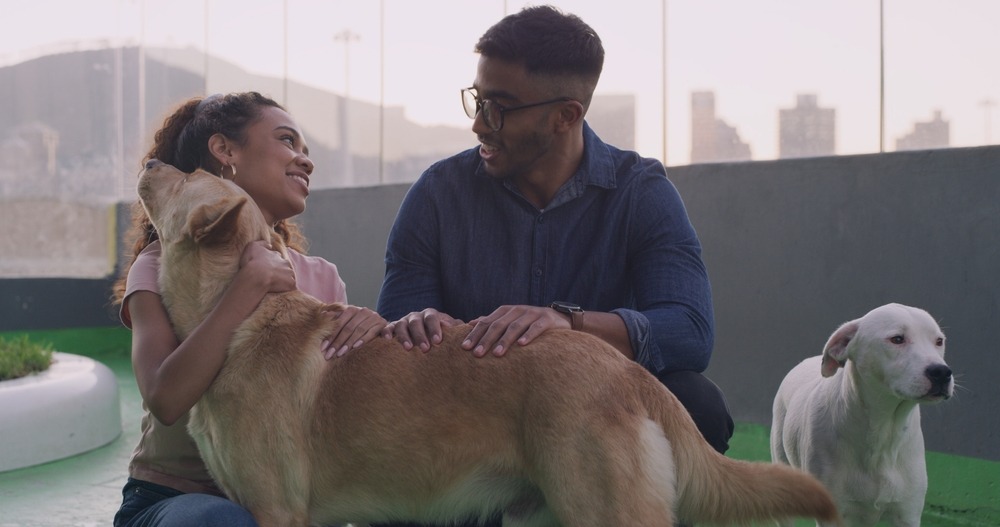 Couple bonding with dogs outdoors, reminder to buy or adopt responsibly and avoid first-time breeder mistakes that harm puppies
