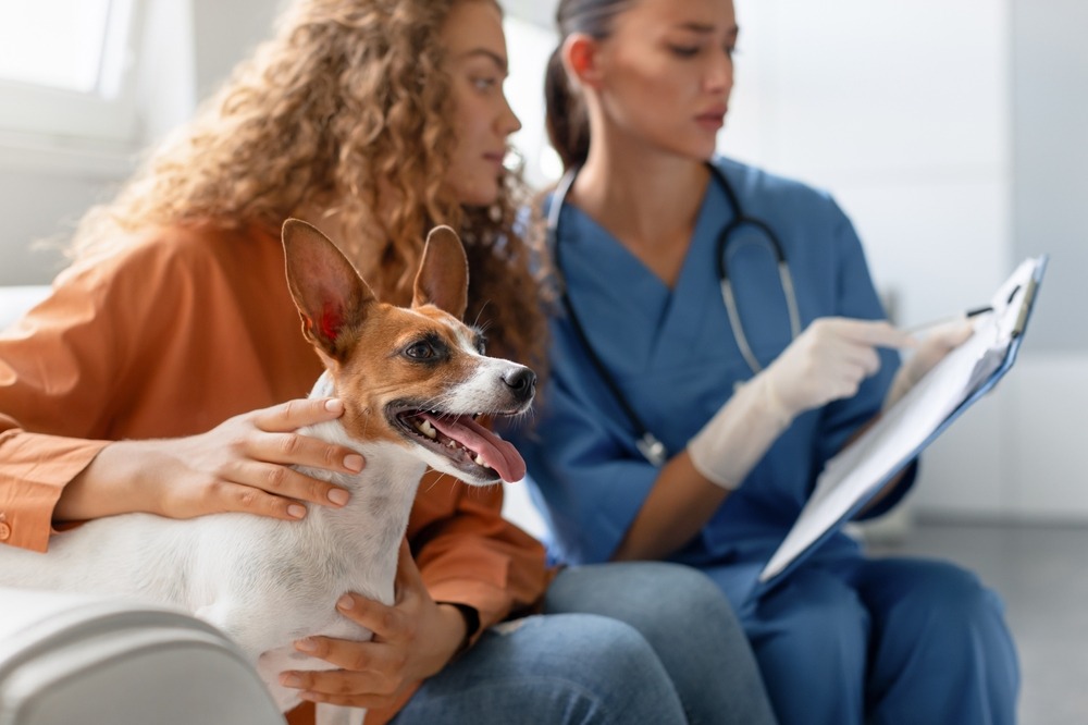 Owner with dog at clinic consult as vet reviews records, part of legal dog breeding requirements and health checks