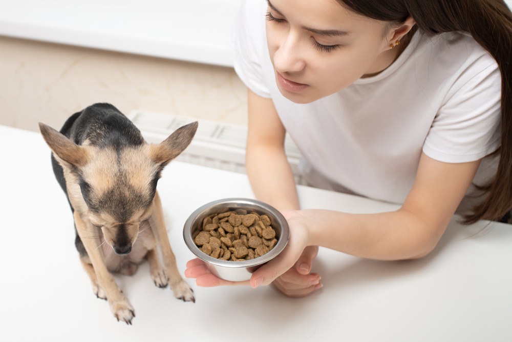 Small puppy turning away from food bowl, possible early signs of illness in puppies
