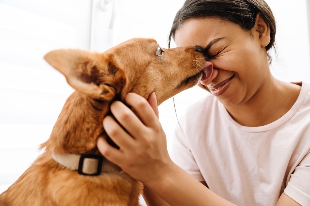 Puppy licking an owner’s face during greeting, showing common puppy behaviour problems such as jumping and overexcited greetings.